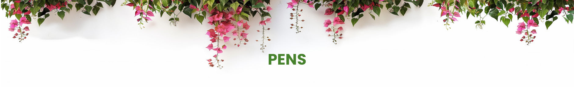 Pens