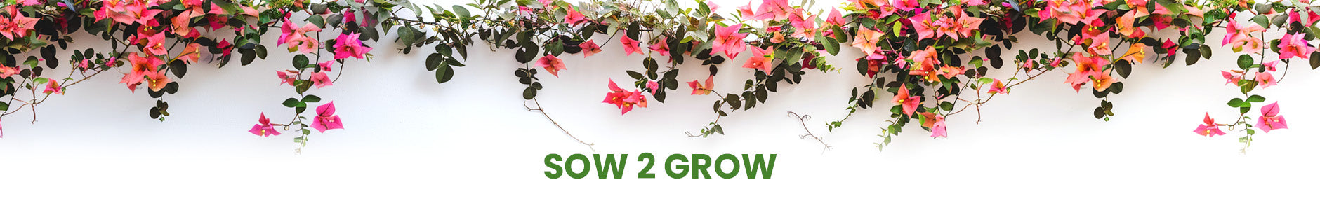 Sow 2 Grow
