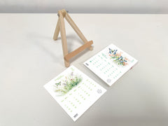 Blossom Every Day: Sow 2 Grow Butterfly Calendar 2024-25